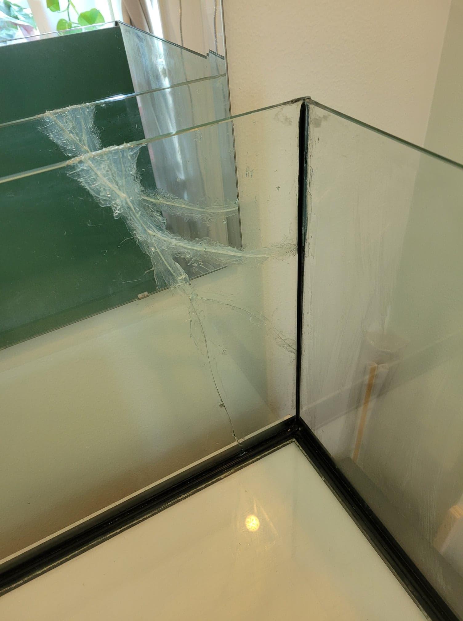 spricka närbild.jpg